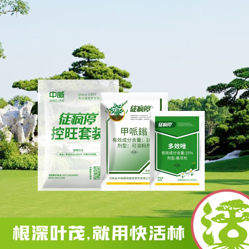 徒瘋?？赝籽b